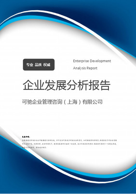公司企業(yè)管理咨詢報(bào)告